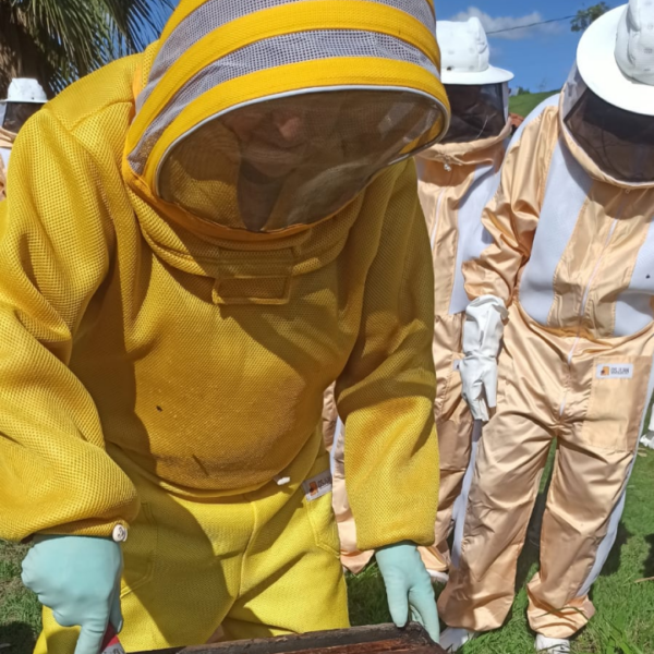 Technical Visit - Green Propolis Apiaries - Image 3